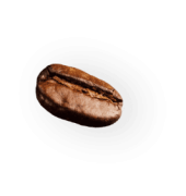 Clé de Fa - Café