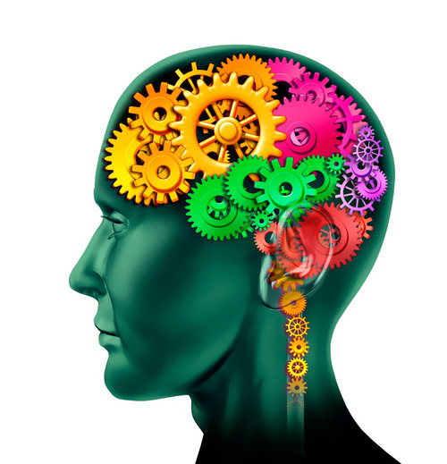 Un ratio magique pour votre cerveau ?