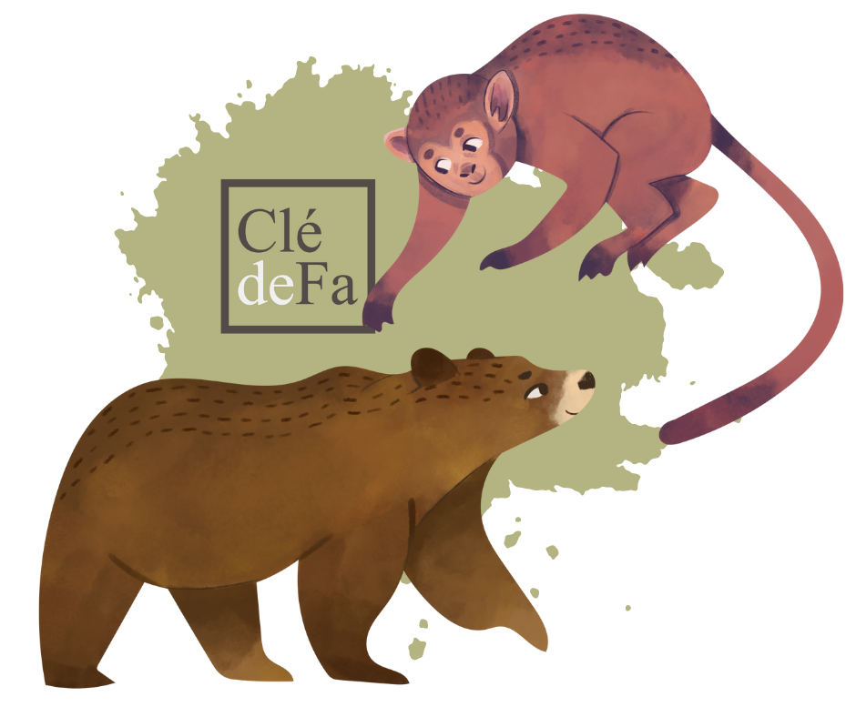 Clé de Fa - Ours et Singe